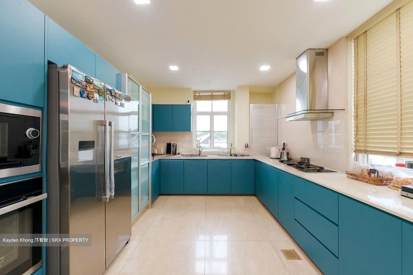 La Suisse (D11), Condominium #550988831